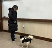 2023.11.24  반려동물기초훈련