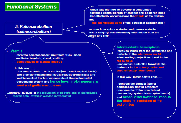 functional system
