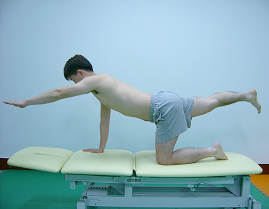 네발기기 자세에서 상지를 이용한 운동