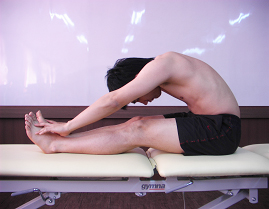 슬괵근의 신장 운동