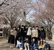 벚꽃피는 캠퍼스