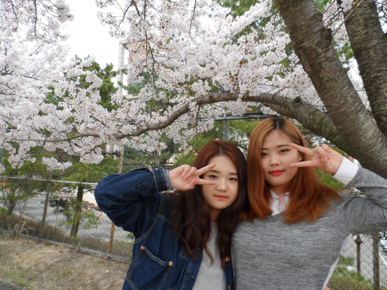 안경광학과 234.JPG